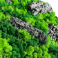 Geschenk Rahmen modern moos Moosbild Natur Moosbilder Mooswand Pflanzen Pflanzenbild  Waldmoos Muttertag Geburtstag Wohnung Wand Deko Dekoration Islandmoos Rentiermoos Rahmen Viereck Rechteck Struktur Verlauf Gedankenwunder Rinde Baumrinde Detail Makro Flechte Flechte Rindenstück