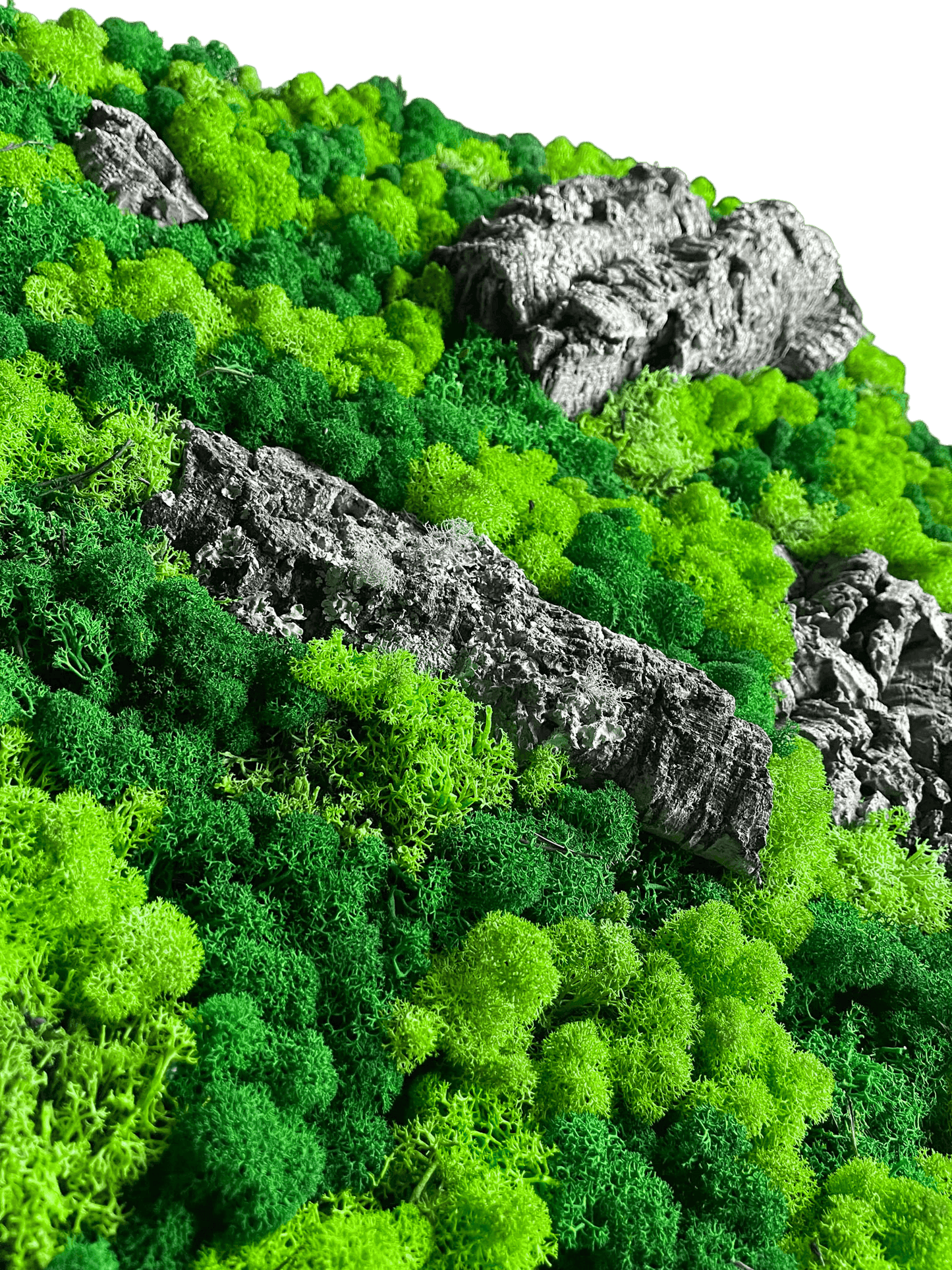 Geschenk Rahmen modern moos Moosbild Natur Moosbilder Mooswand Pflanzen Pflanzenbild  Waldmoos Muttertag Geburtstag Wohnung Wand Deko Dekoration Islandmoos Rentiermoos Rahmen Viereck Rechteck Struktur Verlauf Gedankenwunder Rinde Baumrinde Detail Makro Flechte Flechte Rindenstück
