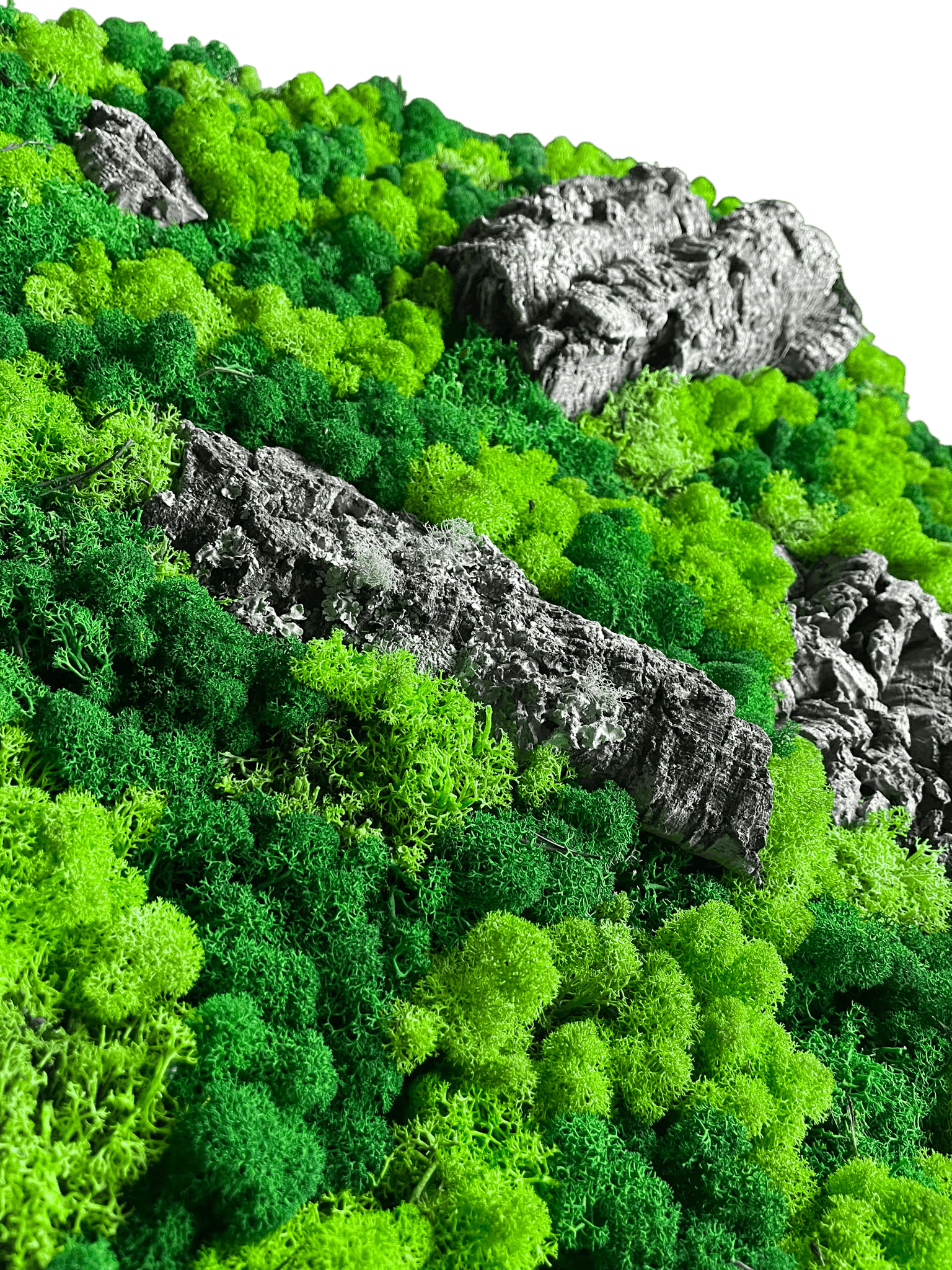 Geschenk Rahmen modern moos Moosbild Natur Moosbilder Mooswand Pflanzen Pflanzenbild  Waldmoos Muttertag Geburtstag Wohnung Wand Deko Dekoration Islandmoos Rentiermoos Rahmen Viereck Rechteck Struktur Verlauf Gedankenwunder Rinde Baumrinde Detail Makro Flechte Flechte Rindenstück