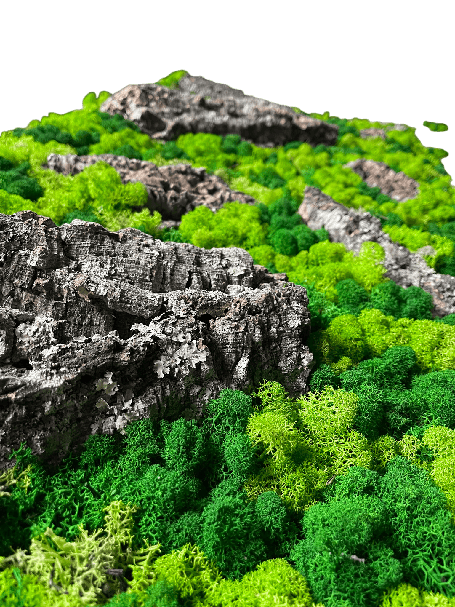 Geschenk Rahmen modern moos Moosbild Natur Moosbilder Mooswand Pflanzen Pflanzenbild  Waldmoos Muttertag Geburtstag Wohnung Wand Deko Dekoration Islandmoos Rentiermoos Rahmen Viereck Rechteck Struktur Verlauf Gedankenwunder Rinde Baumrinde Detail Makro Flechte Holz Holzstück Baumstück Baumstamm