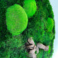 Geschenk  Rahmen Rechteck  moos Moosbild  Hellgrün Grün Natur Bollenmoos Moobilder Mooswand Pflanzen Pflanzenbild    Flachmoos Waldmoos Muttertag Geburtstag Wohnung Wandgarten