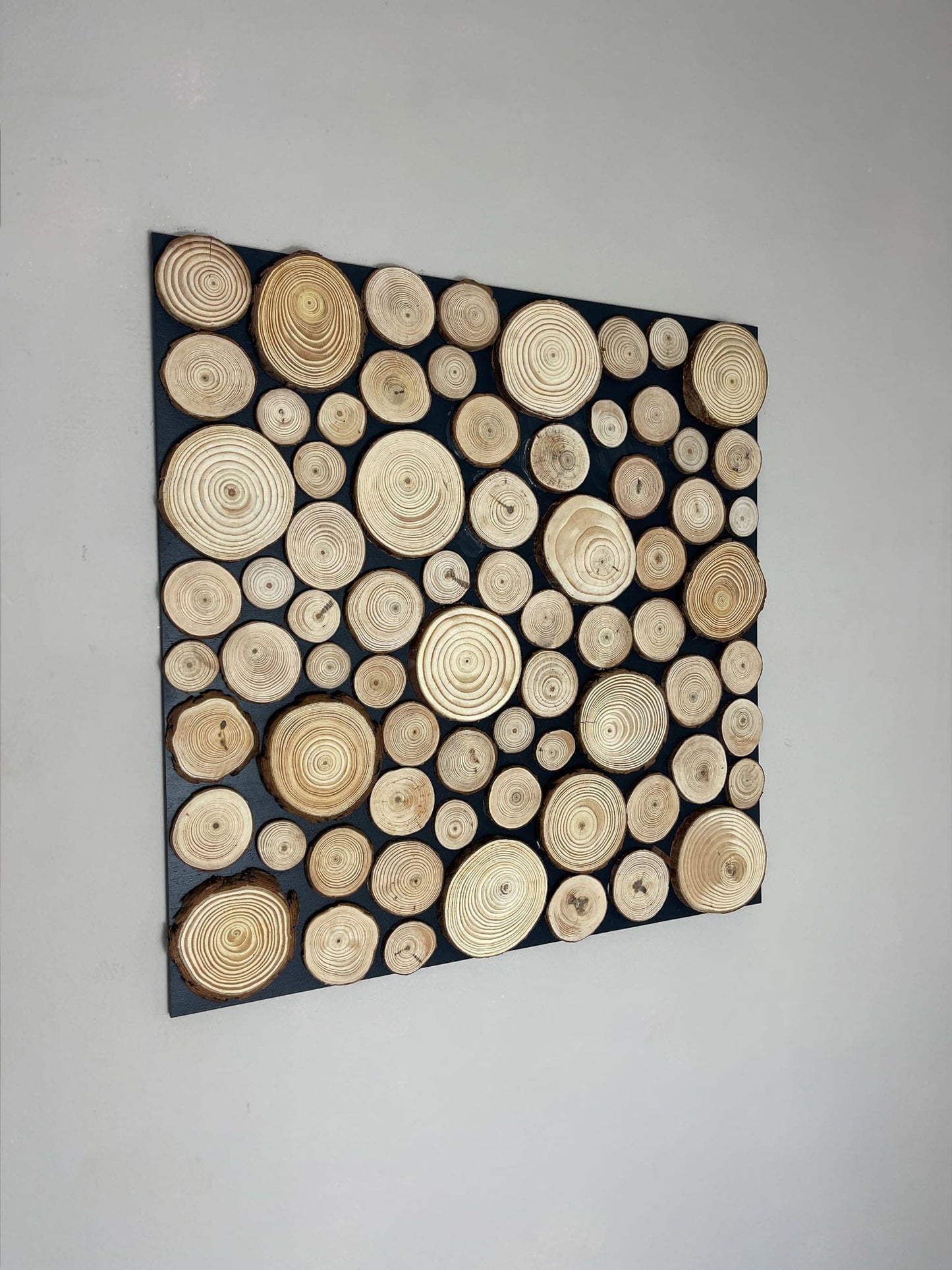 Baumscheiben Astscheiben Wanddekoration Wandpaneel Wandpaneele Deko Bild Gemälde Wandkust Wandbild Baumscheibe Baumringe Farben Bilder Landhaus Shabby Chick Baum Holz Holzsacheibe Büro Wohnung Zimmer Baumstamm Rund natur Anthrazit 