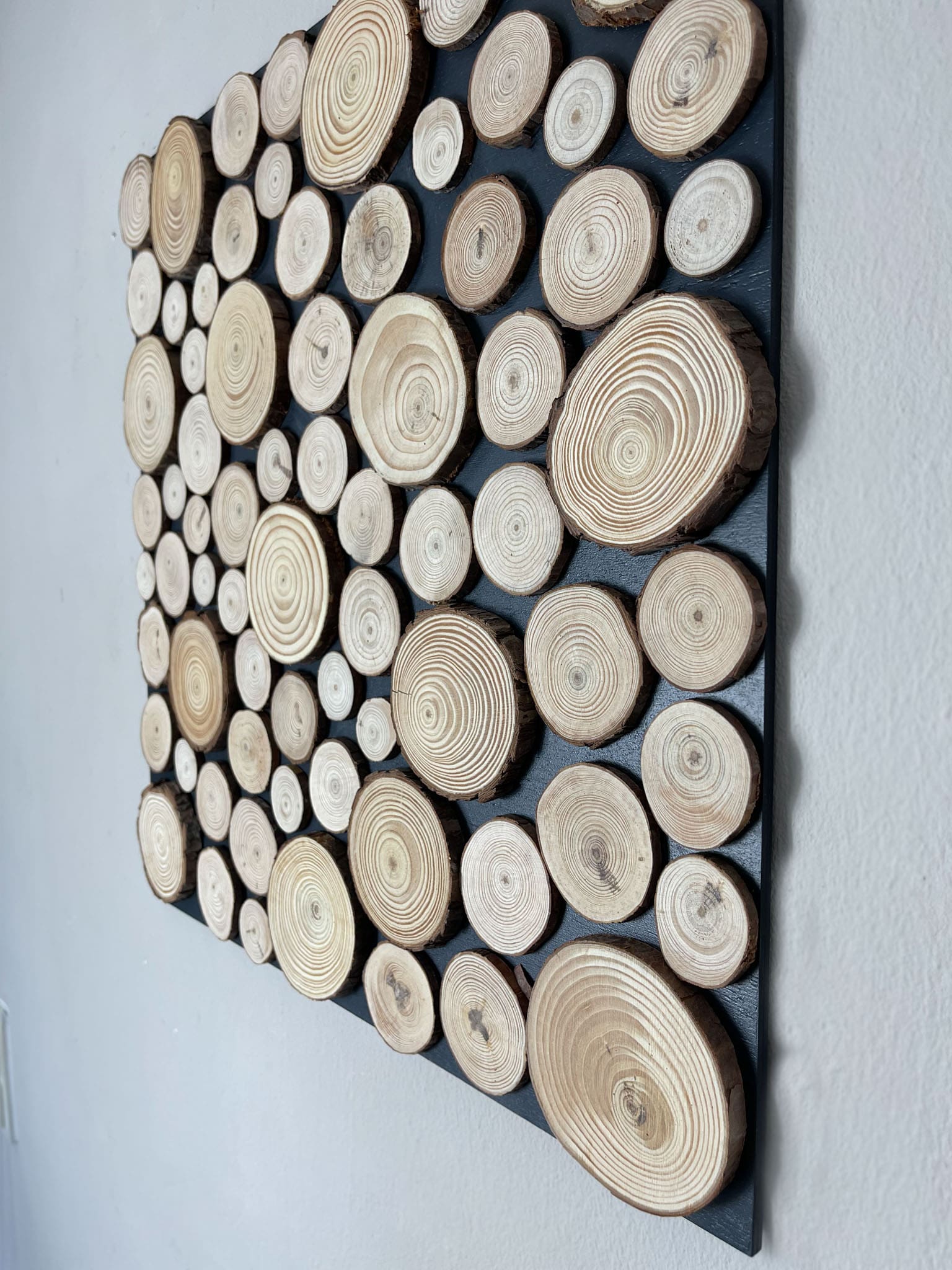 Baumscheiben Astscheiben Wanddekoration Wandpaneel Wandpaneele Deko Bild Gemälde Wandkust Wandbild Baumscheibe Baumringe Farben Bilder Landhaus Shabby Chick Baum Holz Holzsacheibe Büro Wohnung Zimmer Baumstamm Rund natur Rinde