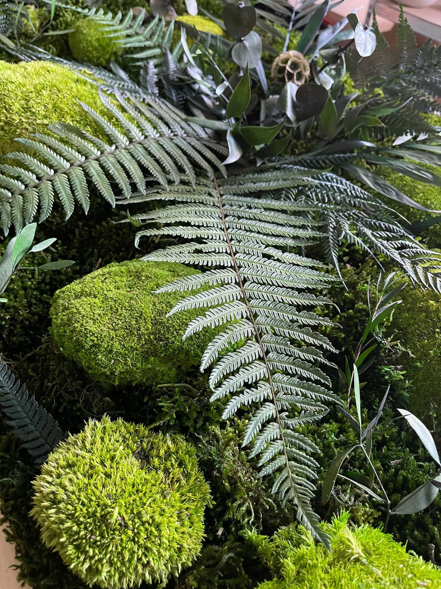 Geschenk  Rahmen Rechteck  moos Moosbild  Hellgrün Grün Natur Bollenmoos Moobilder Mooswand Pflanzen Pflanzenbild    Flachmoos Waldmoos Muttertag Geburtstag Wohnung Dschungel Farn Farnblatt