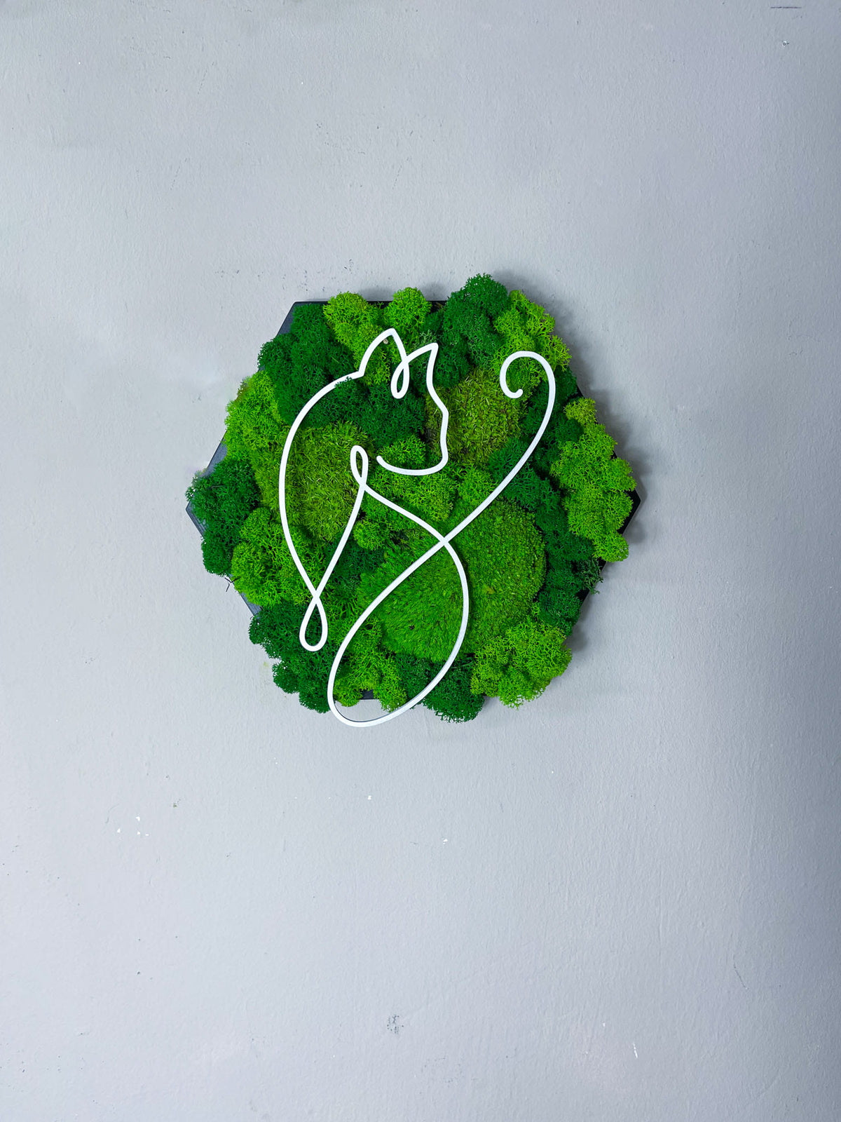 Wanddeko Wandgestaltung Naturdeko Naturkunst InteriorDesign InteriorInspiration Bürodeko Katze Wabe Haustier modern Hexagon Sechseck Bild Porträt Gemälde