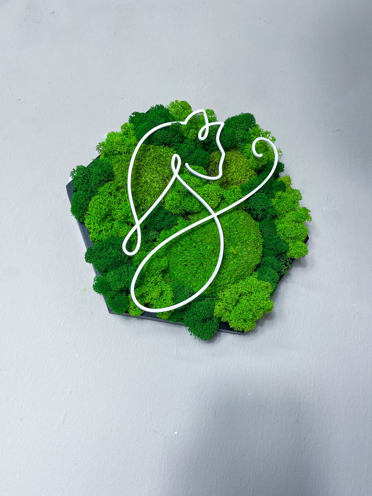 Moosbild Mooskunst Mooswand Moosdeko Wanddeko Wandgestaltung Naturdeko Naturkunst InteriorDesign InteriorInspiration Bürodeko Bürodesign GrünesDesign GreenInterior BiophilicDesign NachhaltigeDeko Kunstobjekt Wandkunst HandmadeDecor Designliebe Löwenkunst Tierkunst Löwe MossArt MossWall MossDecor NatureArt InteriorInspo Islandmoos Rentiermoos Ast Teak Treibholz innen grün Wald Innenraum Deko Dekoration verschwungen geschwungen Baum Lebensbaum Leben Dekoast Äste  