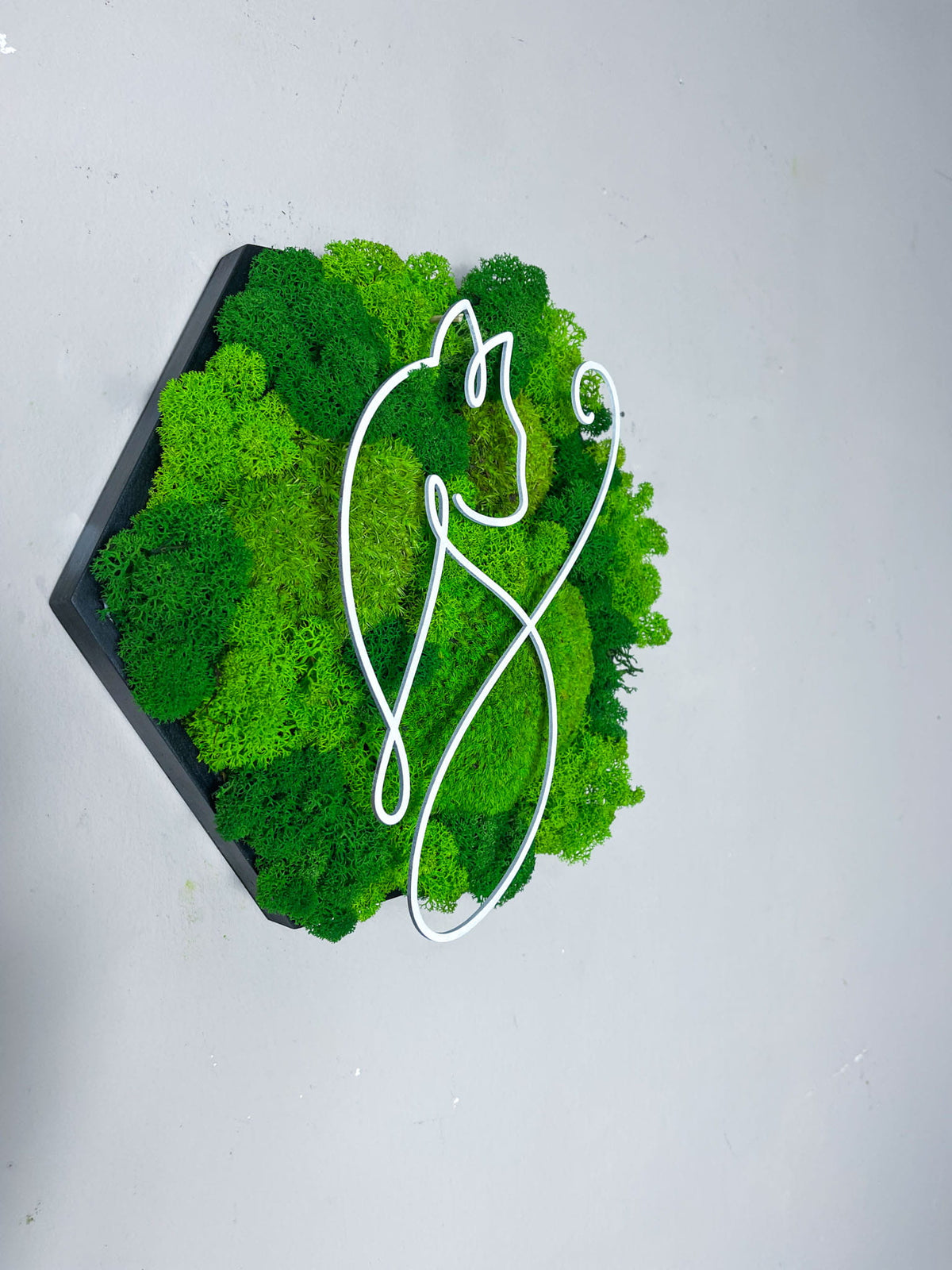 Geschenk Rahmen modern moos Moosbild  Hellgrün Grün Natur Moosbilder Mooswand Pflanzen Pflanzenbild Flachmoos Waldmoos Muttertag Geburtstag Wohnung Wand Deko Dekoration Islandmoos Rentiermoos Ast Teak Treibholz innen grün Wald Innenraum Deko Dekoration Katze Tier Haustier