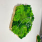 Geschenk Rahmen modern moos Moosbild  Hellgrün Grün Natur Moosbilder Mooswand Pflanzen Pflanzenbild Flachmoos Waldmoos Muttertag Geburtstag Wohnung Wand Deko Dekoration Islandmoos Rentiermoos Ast Teak Treibholz innen grün Wald Innenraum Deko Dekoration Hand