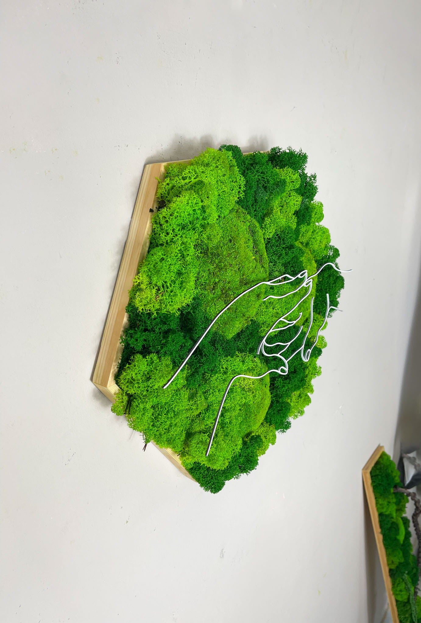Geschenk Rahmen modern moos Moosbild  Hellgrün Grün Natur Moosbilder Mooswand Pflanzen Pflanzenbild Flachmoos Waldmoos Muttertag Geburtstag Wohnung Wand Deko Dekoration Islandmoos Rentiermoos Ast Teak Treibholz innen grün Wald Innenraum Deko Dekoration Hand