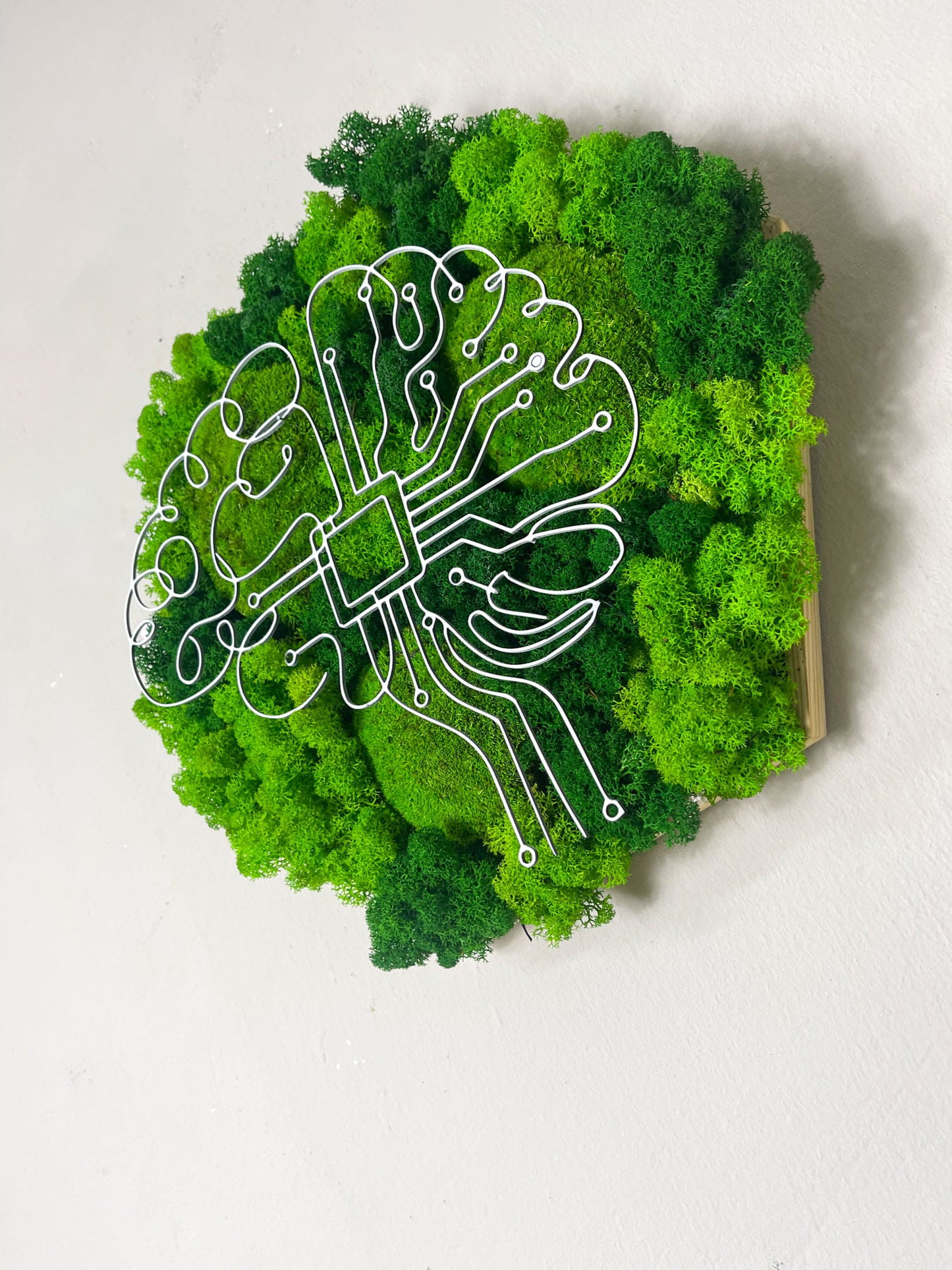 Geschenk Rahmen modern moos Moosbild  Hellgrün Grün Natur Moosbilder Mooswand Pflanzen Pflanzenbild Flachmoos Waldmoos Muttertag Geburtstag Wohnung Wand Deko Dekoration Moosbild KI KünstlicheIntelligenz KIBrain ArtificialIntelligence AI AIArt Technologie Innovation Digitalisierung Zukunft Future Tech TechDesign TechUnternehmen Startup StartUp BüroDesign OfficeDesign ModernOffice