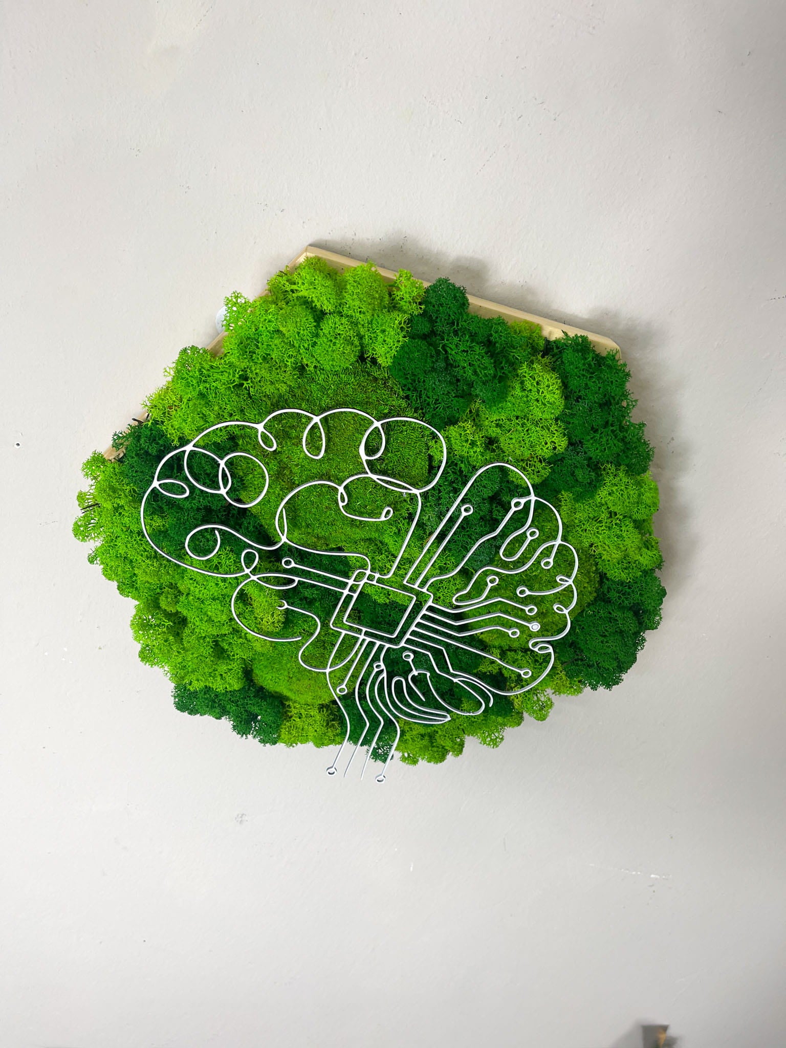 Moosbild KI KünstlicheIntelligenz KIBrain ArtificialIntelligence AI AIArt Technologie Innovation Digitalisierung Zukunft Future Tech TechDesign TechUnternehmen Startup StartUp BüroDesign OfficeDesign ModernOffice Wanddekoration Wanddesign Bio Biophelic