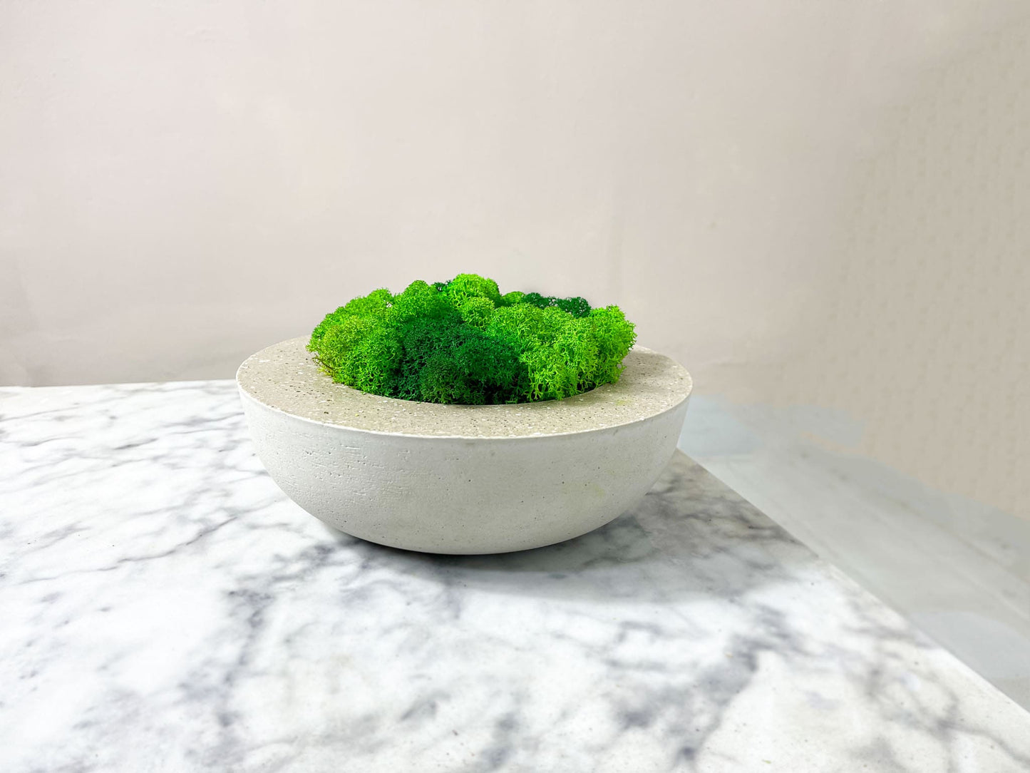 Geschenk  Rahmen modern Islandmoos moos Moosbild Rentiermoos Hellgrün Grün Natur Bollenmoos Moobilder Mooswand  Flachmoos Waldmoos Muttertag Geburtstag Wohnung  Kim Moss Bowl Moos schale Moosschale Schalen Dekoschale Dekoration Beton rund Hellgrün Leuchtgrün Arrangement Tischdeko Pflanze Pflanzschale Pflanzenschale Sideboard minimalistisch  Wald Zement modern design designer