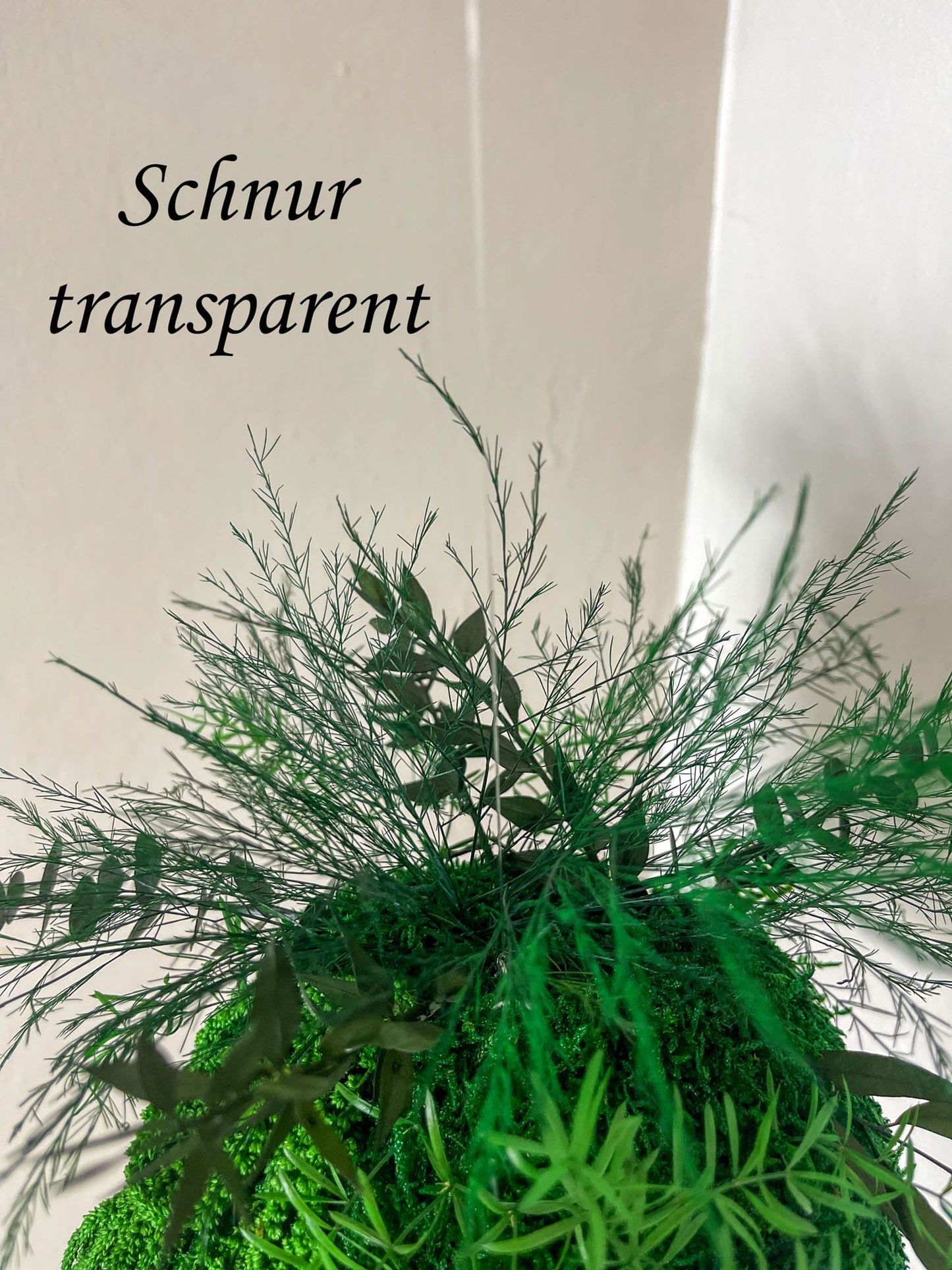 Kokedama Ranke "Kusa tsuru" Moosball Mooskugel mit Pflanzen