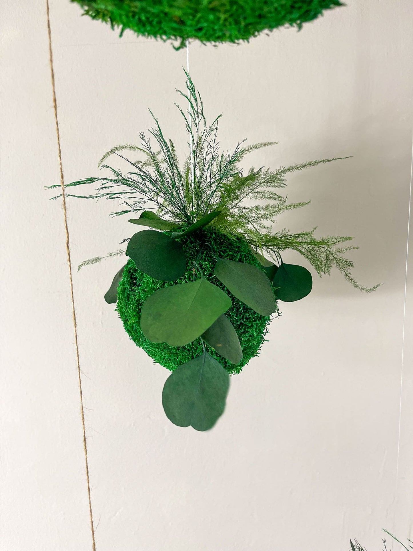 Kokedama "Marui tsuru" Moosball Mooskugel Pflanzen