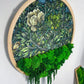 Geschenk Rahmen modern moos Moosbild  Hellgrün Grün Natur Moosbilder Mooswand Pflanzen Pflanzenbild Flachmoos Waldmoos Muttertag Geburtstag Wohnung Wand Deko Dekoration Islandmoos Rentiermoos Ast Teak Treibholz innen grün Wald Innenraum Deko Dekoration verschwungen geschwungen Baum Lebensbaum Leben Dekoast Äste wohnideen interior design naturliebe pflanzenliebe einzigartigdeko handarbeit blickfang kunstdeko holzrahmen greenliving