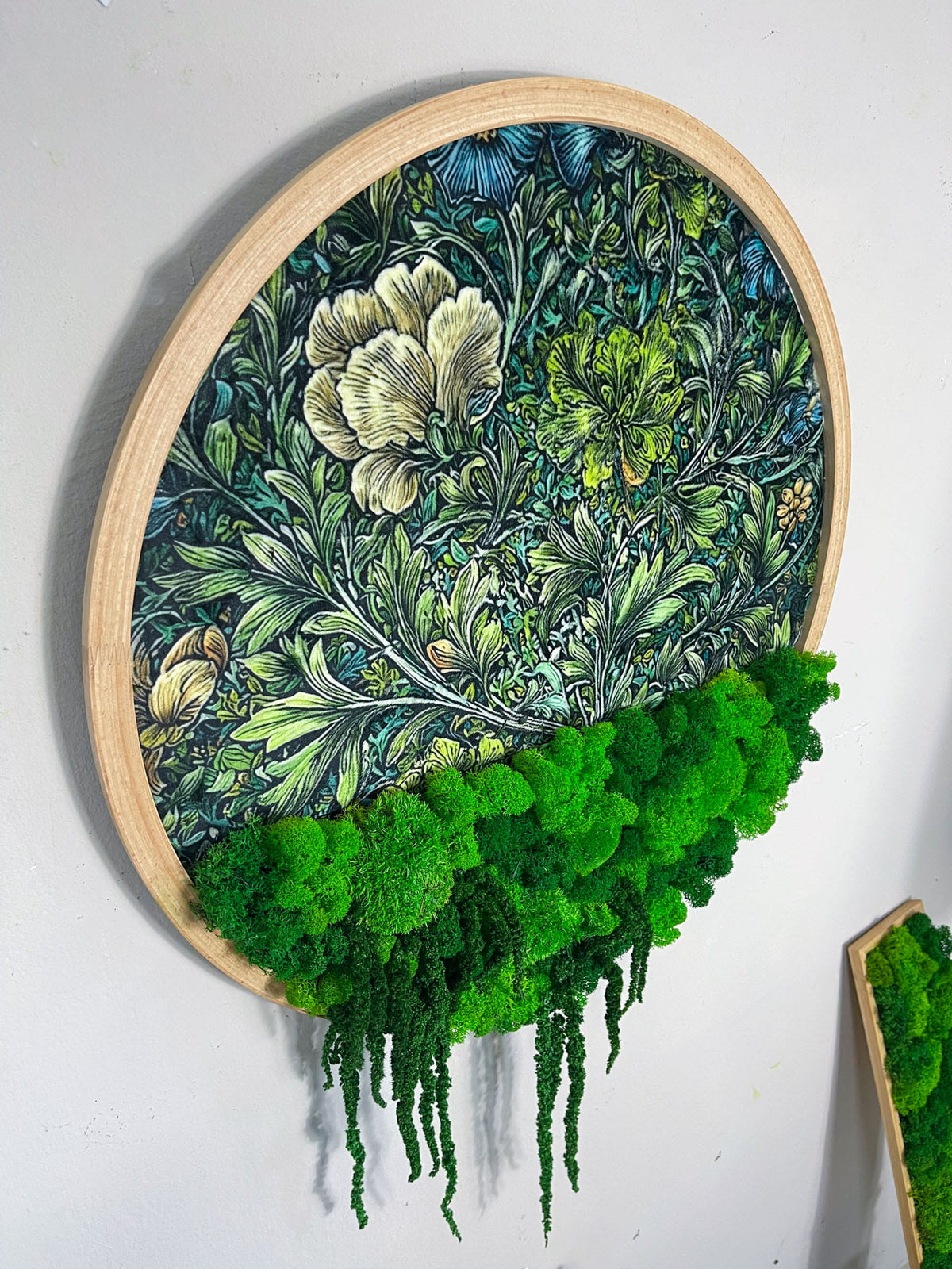 Geschenk Rahmen modern moos Moosbild  Hellgrün Grün Natur Moosbilder Mooswand Pflanzen Pflanzenbild Flachmoos Waldmoos Muttertag Geburtstag Wohnung Wand Deko Dekoration Islandmoos Rentiermoos Ast Teak Treibholz innen grün Wald Innenraum Deko Dekoration verschwungen geschwungen Baum Lebensbaum Leben Dekoast Äste wohnideen interior design naturliebe pflanzenliebe einzigartigdeko handarbeit blickfang kunstdeko holzrahmen greenliving