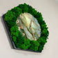 Moosuhr Wanduhr Naturdeko Wanddeko WohnzimmerDeko Dekoration Inneneinrichtung InteriorDesign Wohnaccessoires Geschenk Rahmen modern moos Moosbild  Hellgrün Grün Natur Moosbilder Mooswand Pflanzen Pflanzenbild Flachmoos Waldmoos Muttertag Geburtstag Wohnung Wand Deko Dekoration Islandmoos Rentiermoos