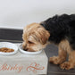 Hund Futterbar Hundeglück Tier Katze Beton Napf Symbol Schrift Schriftzug personalisiert Name Futterstation Schalen Beton Schale Bar Futter Napf Napfstation Hunde Unikat einzigartig Keramik Tiernahrung Hundefutter Trockenfutter Nassfutter Fressen