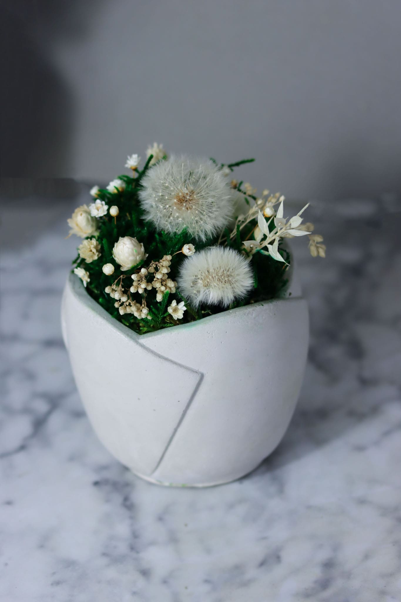 Beton Blumenvase Übertopf Deko Pusteblume Wunscherfüller Trockenblumen Waldmoos Moosdeko Dekoobjekt Zement Betonvase Daisy Blume Blüte