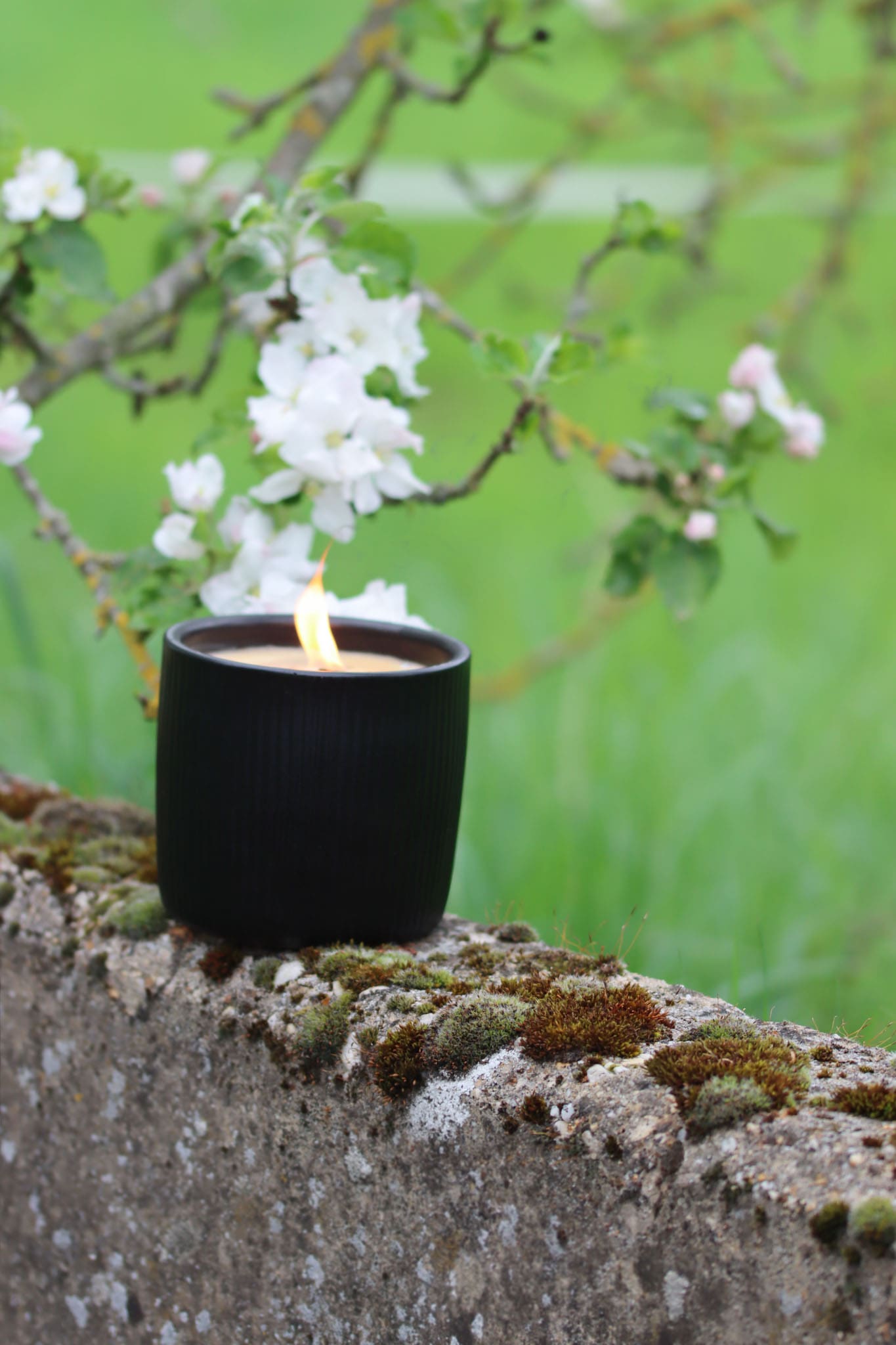 Outdoor Kerze Betonkerze Feuer Dauerdocht Feuertopf Deko Gartendeko Kerzenreste schmelzen Dekoration frostsicher Deckel Löschbrett Soja Wachs Sojawachs nachhaltig vegan recyceln Geschenk Geburtstag Vatertag Vater Mutter Muttertag Lagerfeuer Beton Flamme Kerzenlöscher Tischkerze Kerze Gartenfackel Garten Zement Anthrazit grau Licht Keramik Docht Topf Übertopf Holz Blumentopf Pflanzentopf Camping campen zelten wandern geriffelt schwarz matt