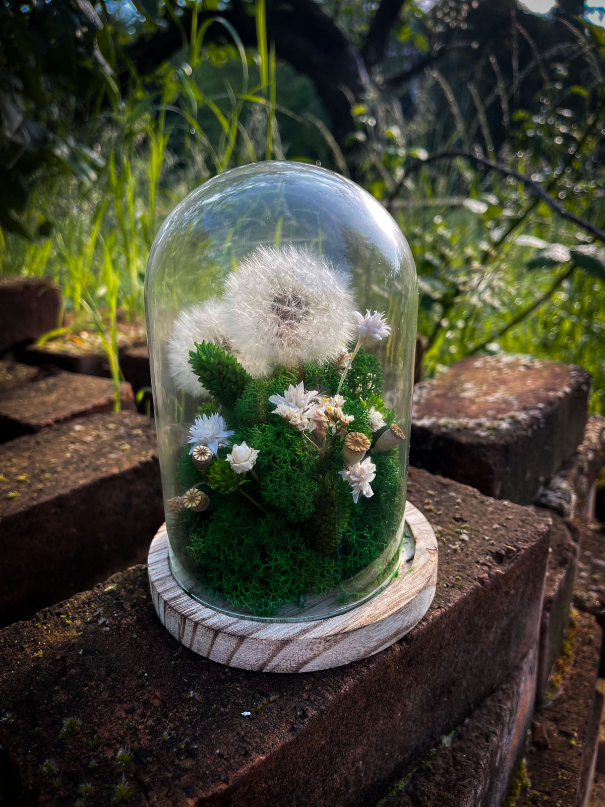 Glasglocke Pusteblume mit Trockenblumen