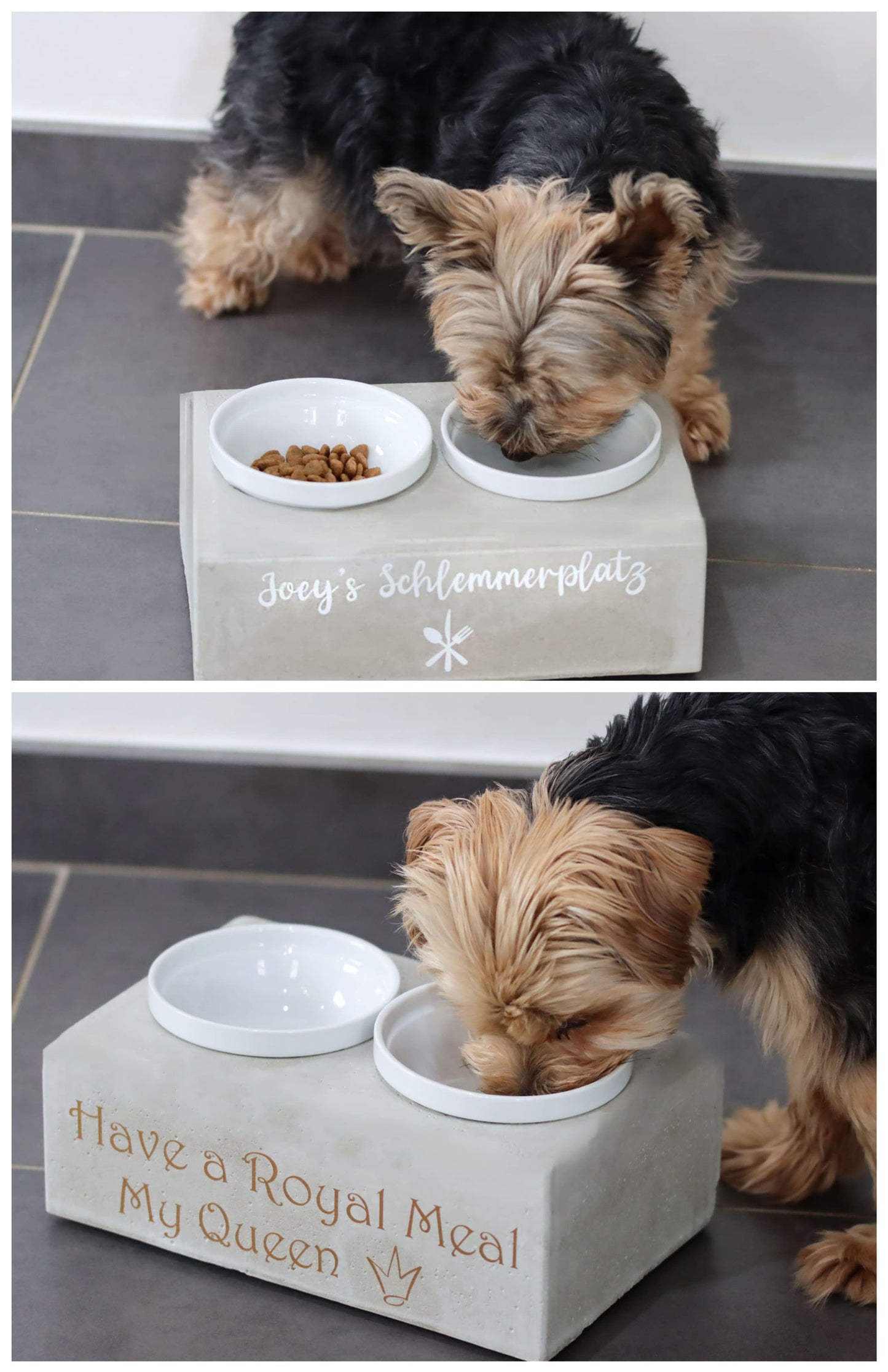 Hund Futterbar Hundeglück Tier Katze Beton Napf Symbol Schrift Schriftzug personalisiert Name Futterstation Schalen Beton Schale Bar Futter Napf Napfstation Hunde weiß grau Tierhandel Tierbedarf Hundefutter Katzenfutter Wunsch