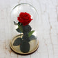 Rosenglasglocke untilthelastpetalfalls Rose redrose royalred rot red Infinityrose Glasglocke Ewigerose ewig infinity Geschenkidee romantisch romantic girlfriend Freundin Valentinesday Valentinstag Valentino Muttertag Geburtstag elegant Glas