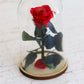 Rosenglasglocke untilthelastpetalfalls Rose redrose royalred rot red Infinityrose Glasglocke Ewigerose ewig infinity Geschenkidee romantisch romantic girlfriend Freundin Valentinesday Valentinstag Valentino Muttertag Geburtstag elegant Glas