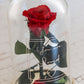 Rose Glasglocke untilthelastpetalfalls Valentinstag Valentinesday Infinityrose infinity rose roses Geschenkidee Freundin girlfriend Geburtstag Design personalisiert Personalisierung personalized Name Text Spruch quote Datum Gedicht traumhaft Kunst art elegant aesthetic ewigerose girly longlive langlebig persönlich Glaskuppel Muttertag Mutter Braut Hochzeitgeschenk  
