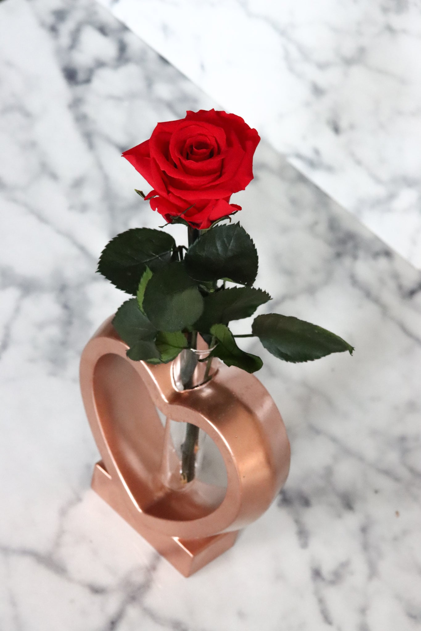 Rose Herz Beton rosé roségold Glas romantisch roses Valentine Valentinsgeschenk Valentinesday Valentinstag Liebe Love romantisch Infinityrose infinity ewig Ewigerose Heart Betonherz heartshaped Geschenkidee Freundin girlfriend Deko homedeco redrose rot girly Muttertag