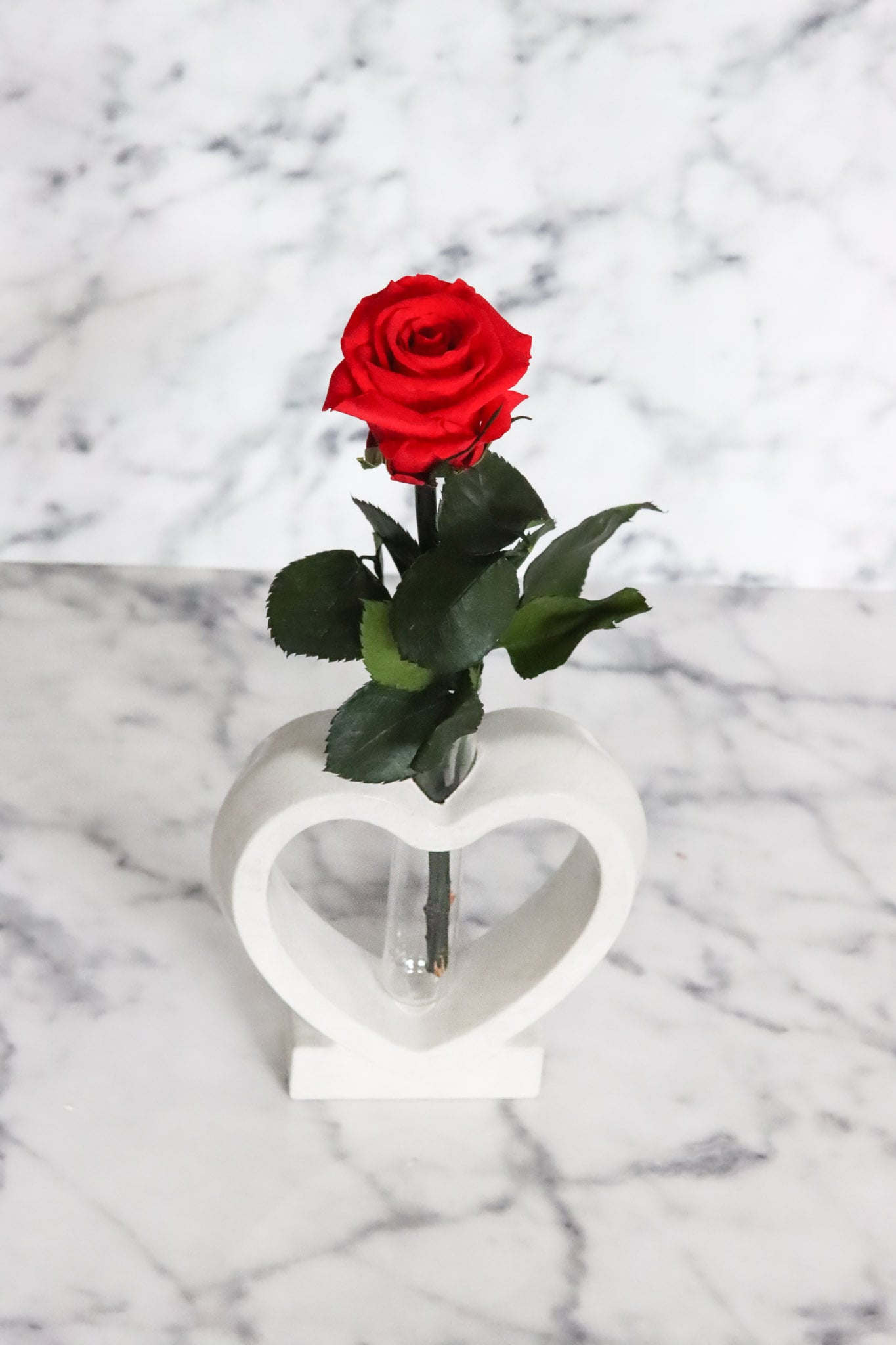 Rose Herz Beton weiß grau Glas romantisch roses Valentine Valentinsgeschenk Valentinesday Valentinstag Liebe Love romantisch Infinityrose infinity ewig Ewigerose Heart Betonherz heartshaped Geschenkidee Freundin girlfriend Deko homedeco redrose rot girly Muttertag