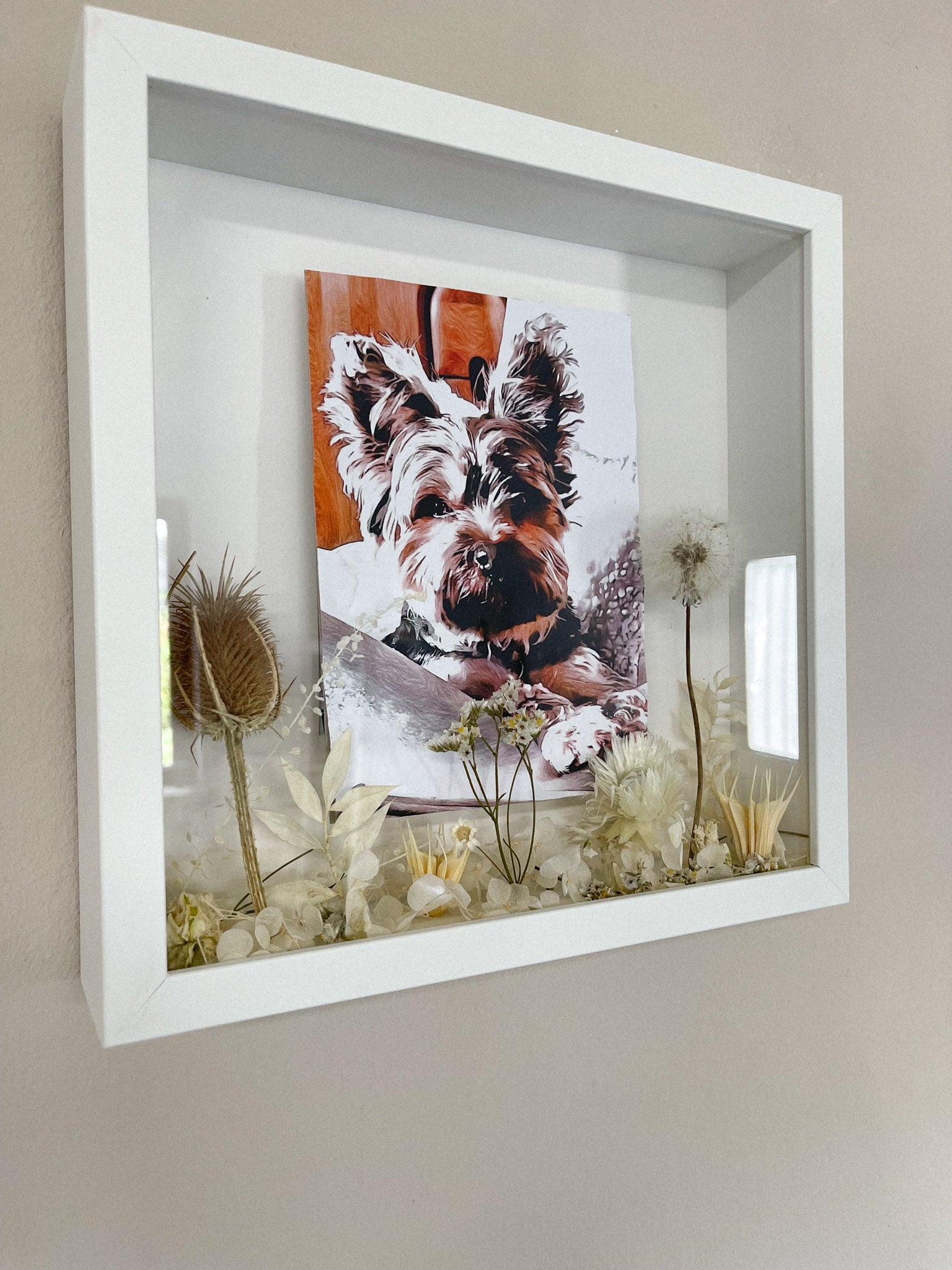 Bild Hund dog animal Acrylglas Glas Acryl animallover Wunschbild Wunsch wish driedflowers Trockenblumen Wildwiese Dandelion Pusteblume wildekarde meadow feld field Tierbild Erinnerung memory Geschenkidee