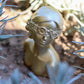 Blumenmädchen Beton gold frostsicher Kunst art Augenbinde Blumen Mädchen kreativ Schönheit Garten Terrasse girl Betonfigur figure Figur
