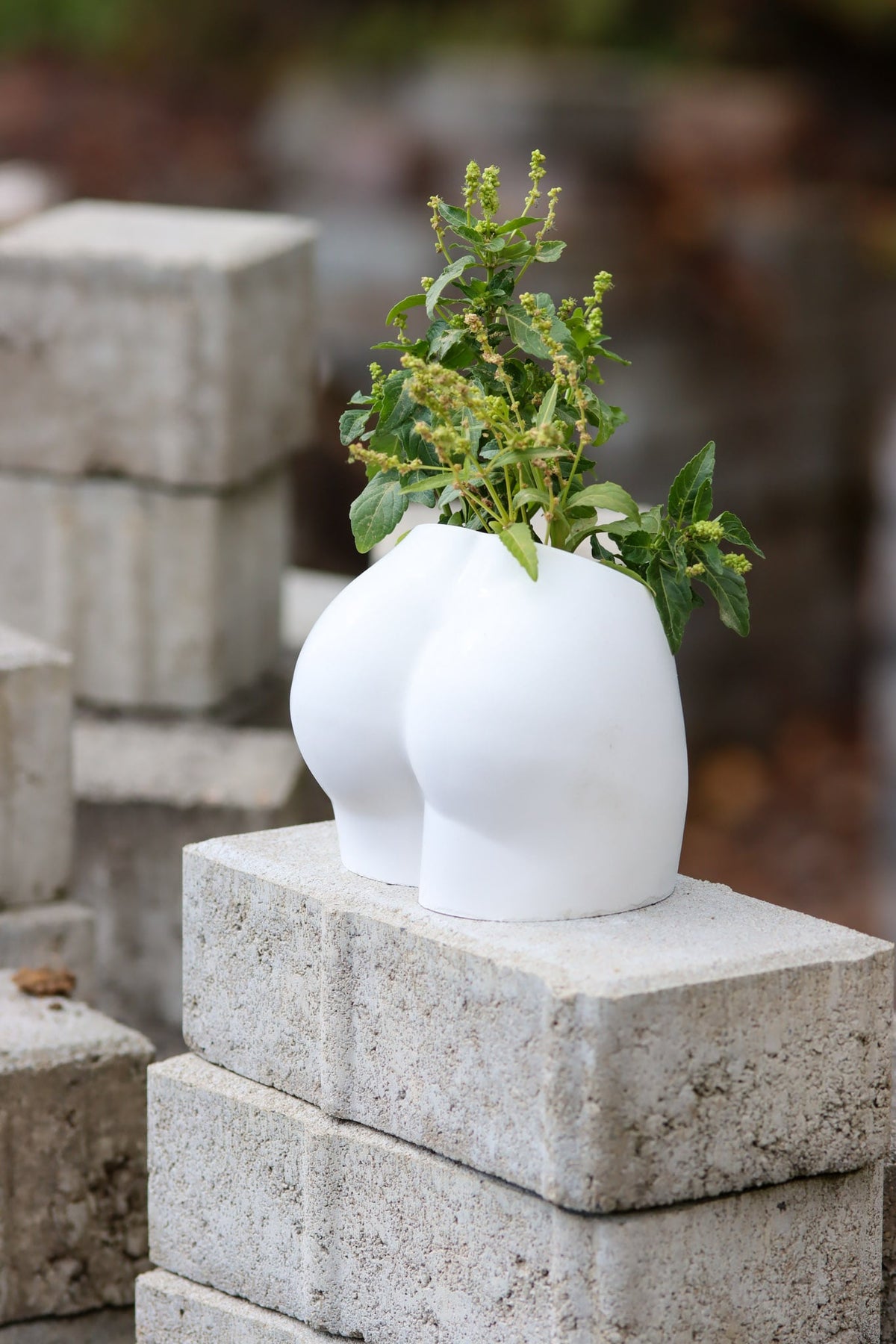 Butt Vase Blumen Po Vase in Weiß