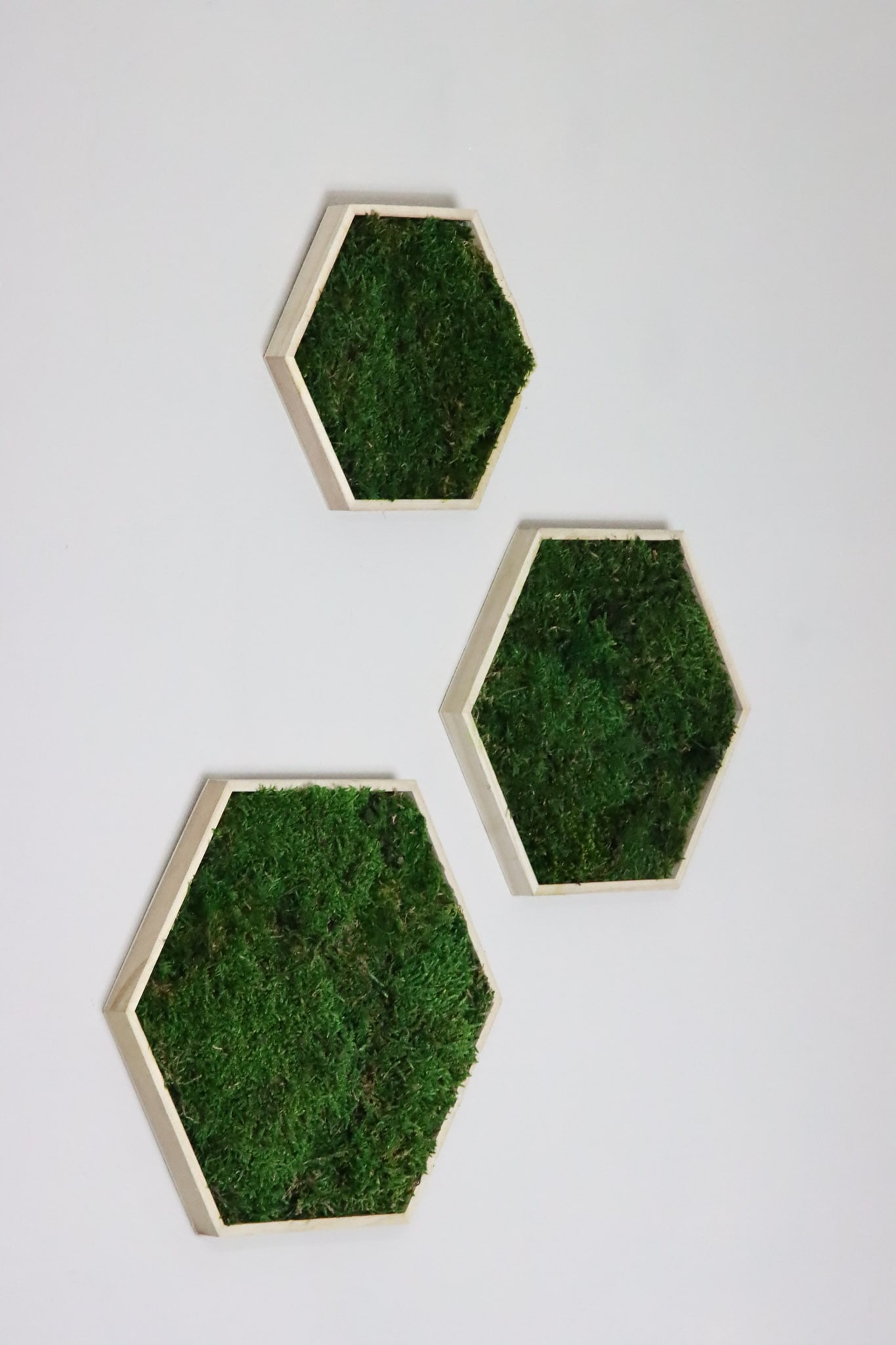 Moosbild Moos Hexagon Sechseck Bild Flachmoos grün green Restaurant Wohnzimmer Küche Praxis Büro Eiche Eichehell Natur Naturgeölt schwarz weiß Nussbaum steingrau Bilderrahmen Wunschfarbe Wunsch wish colour