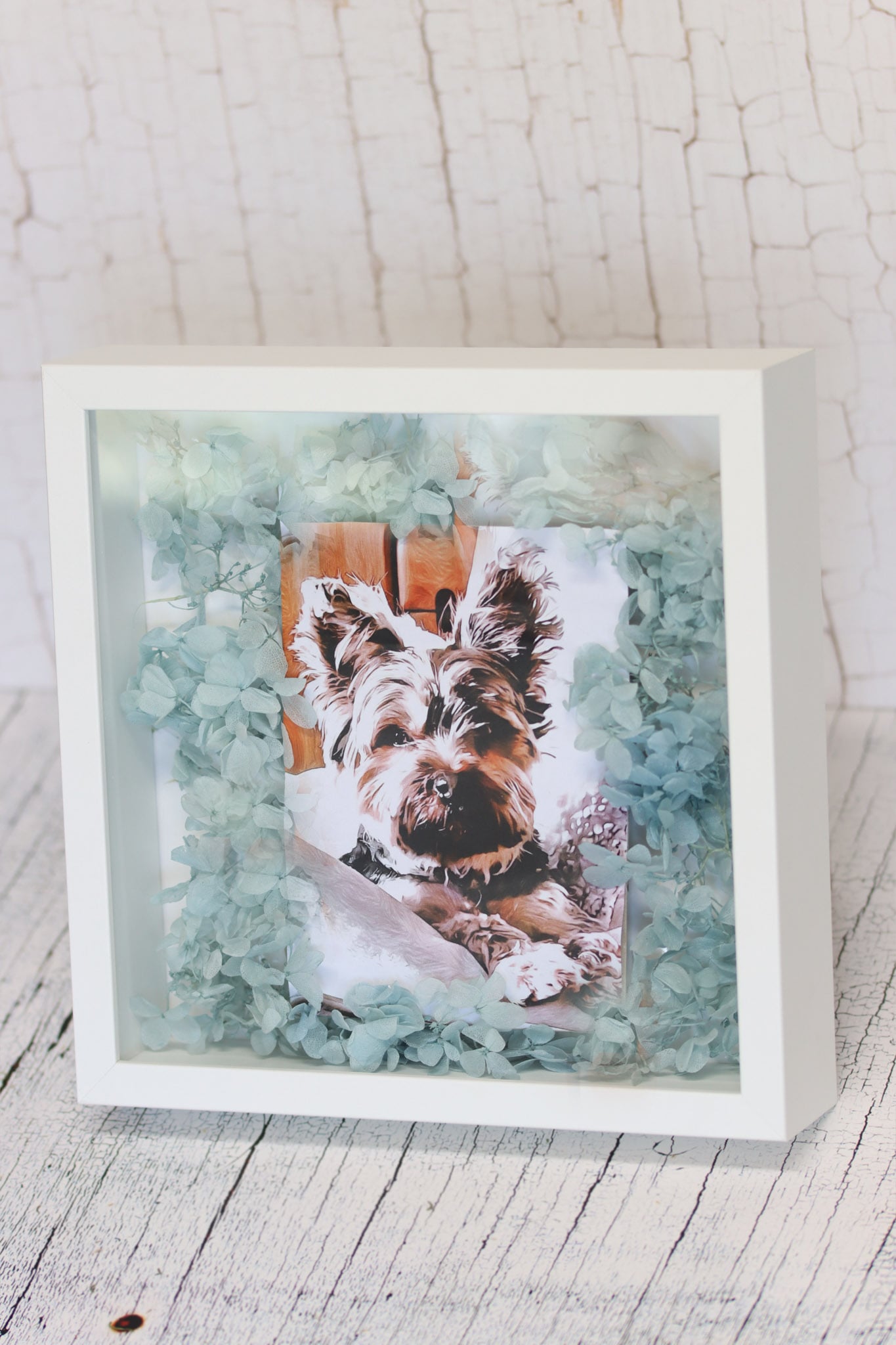 Bild Hund dog animal Acrylglas Glas Acryl animallover hydrangeas Hortensien Wunschbild Wunsch wish driedflowers Trockenblumen Tierbild Erinnerung memory Geschenkidee