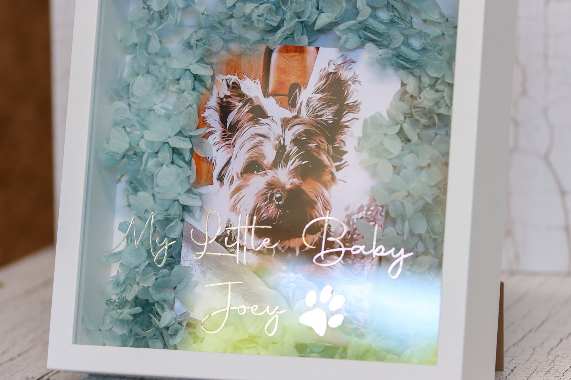 Bild Hund dog animal Acrylglas Glas Acryl animallover hydrangeas Hortensien Wunschbild Wunsch wish driedflowers Trockenblumen Tierbild Erinnerung memory Geschenkidee personalisiert Schrift Wunsch wish Wunschschrift Wunschtext Text personalized Personalisierung besonders