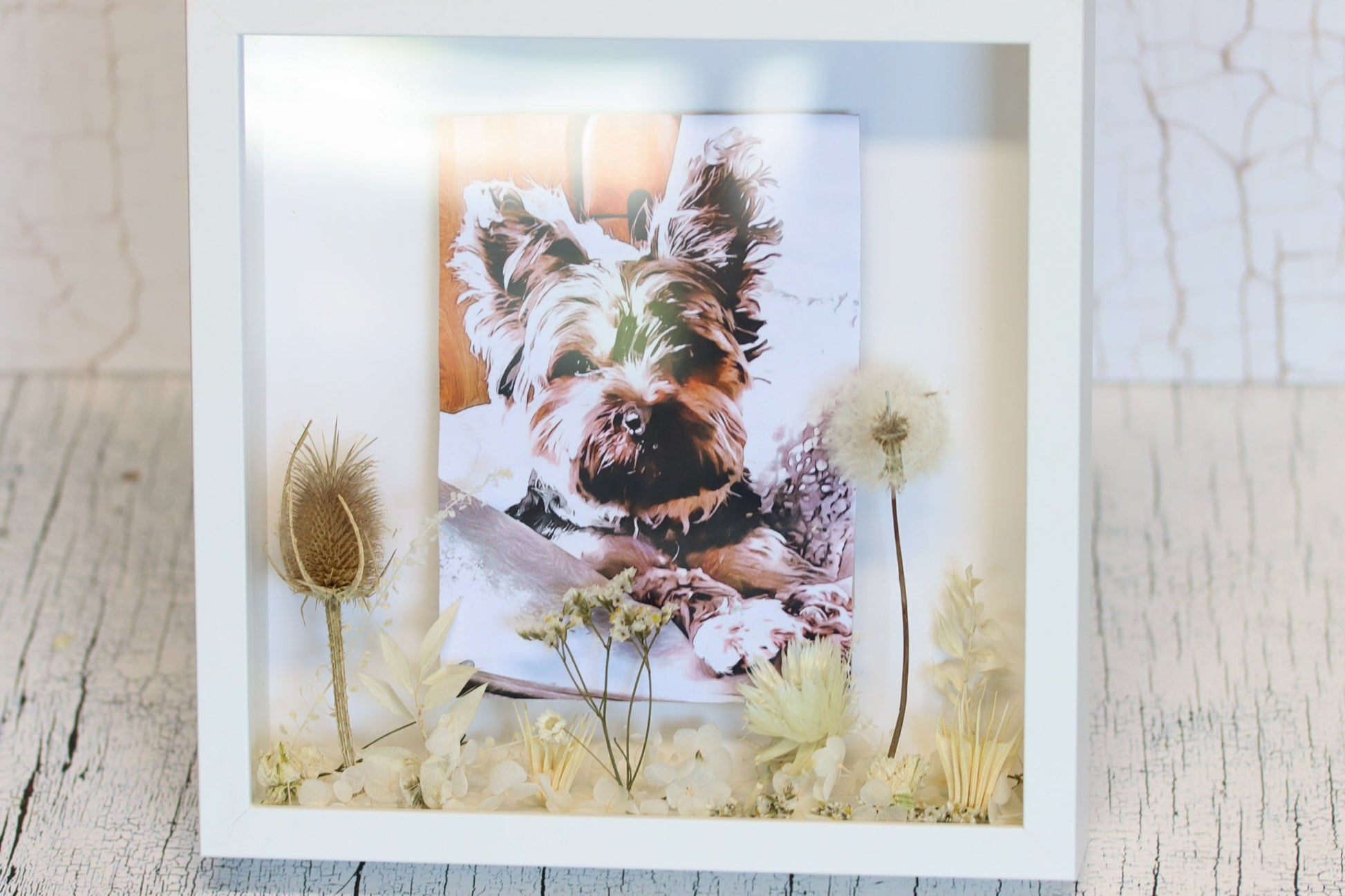 Bild Hund dog animal Acrylglas Glas Acryl animallover Wunschbild Wunsch wish driedflowers Trockenblumen Wildwiese Dandelion Pusteblume wildekarde meadow feld field Tierbild Erinnerung memory Geschenkidee