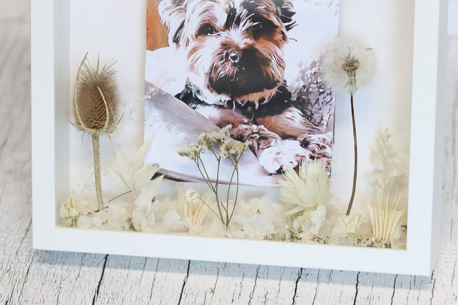 Bild Hund dog animal Acrylglas Glas Acryl animallover Wunschbild Wunsch wish driedflowers Trockenblumen Wildwiese Dandelion Pusteblume wildekarde meadow feld field Tierbild Erinnerung memory Geschenkidee