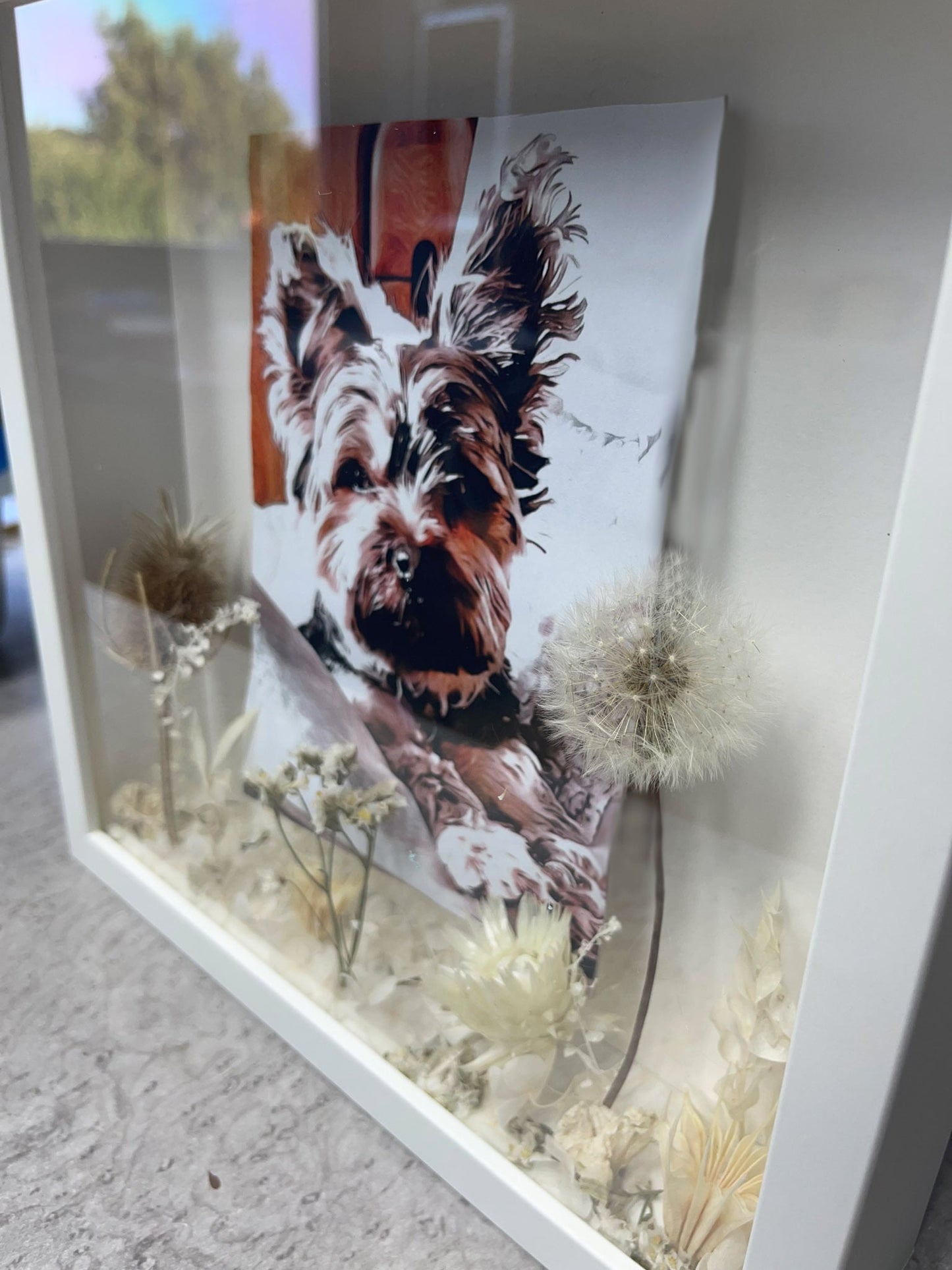 Bild Hund dog animal Acrylglas Glas Acryl animallover Wunschbild Wunsch wish driedflowers Trockenblumen Wildwiese Dandelion Pusteblume wildekarde meadow feld field Tierbild Erinnerung memory Geschenkidee